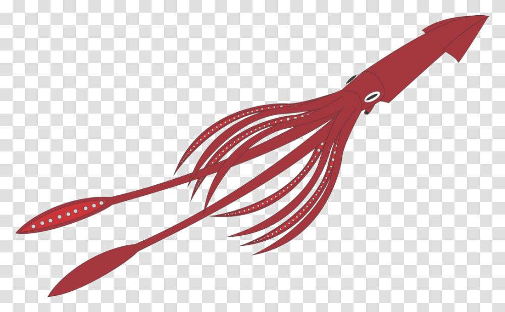 Giant Squid Background Giant Squid No Background, Animal, Sea Life, Seafood, Appliance Transparent Png