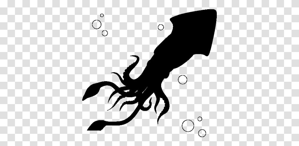 Giant Squid Images Illustration, Dragon, Sea Life, Animal, Food Transparent Png