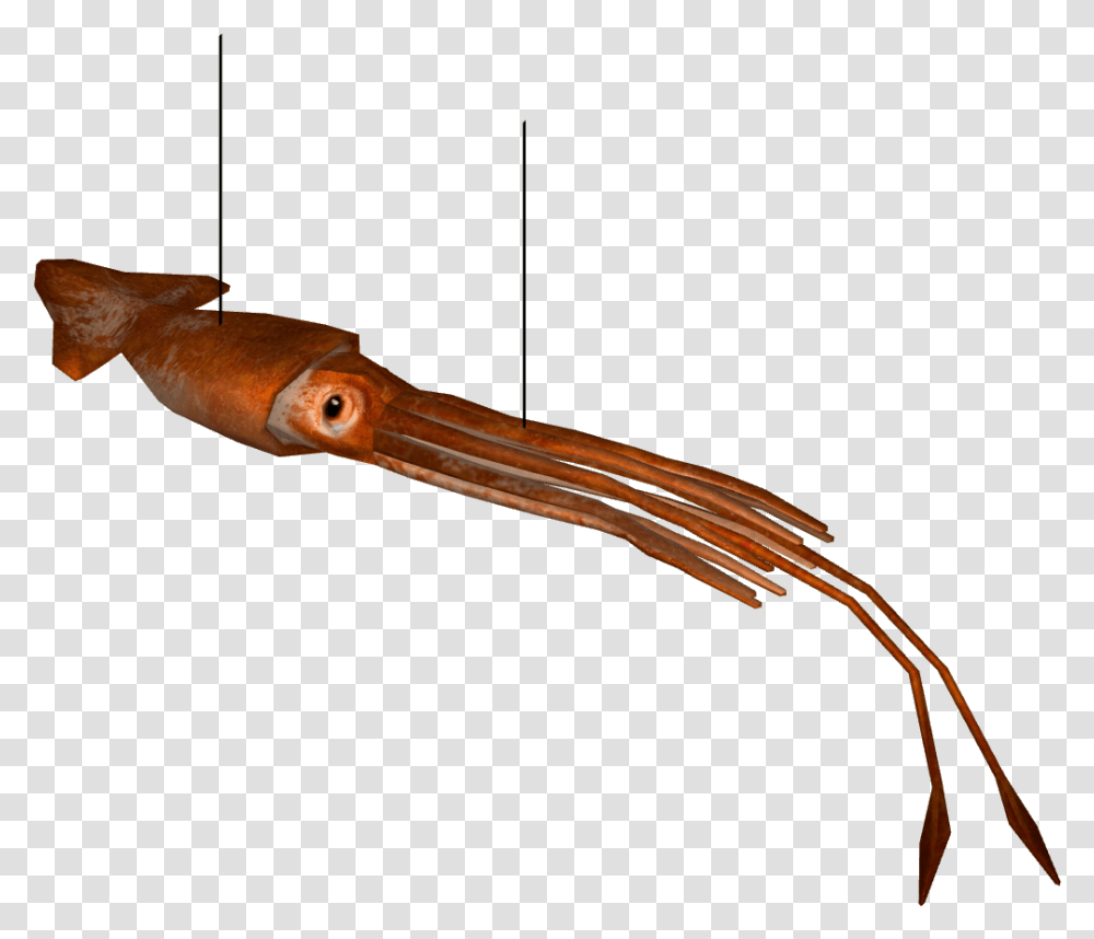 Giant Squid Rifle, Seafood, Sea Life, Animal Transparent Png