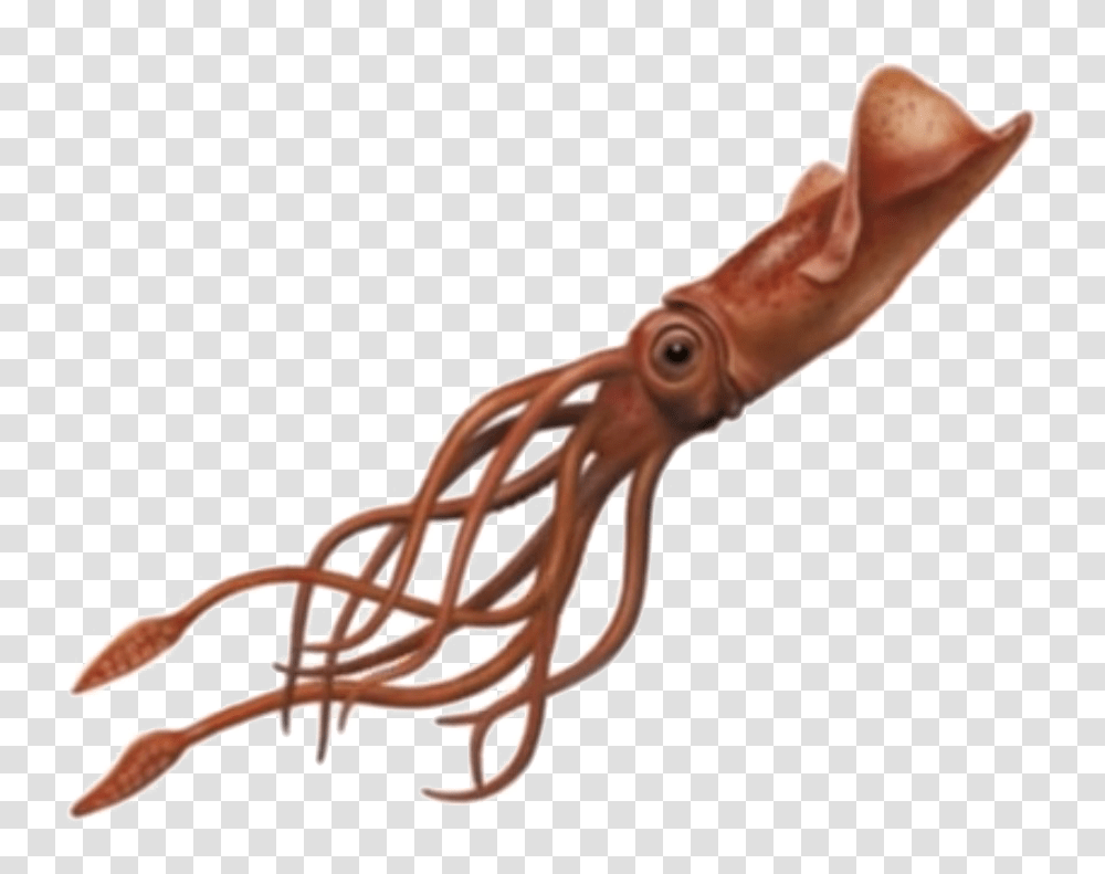 Giant Squid, Sea Life, Animal, Person, Human Transparent Png