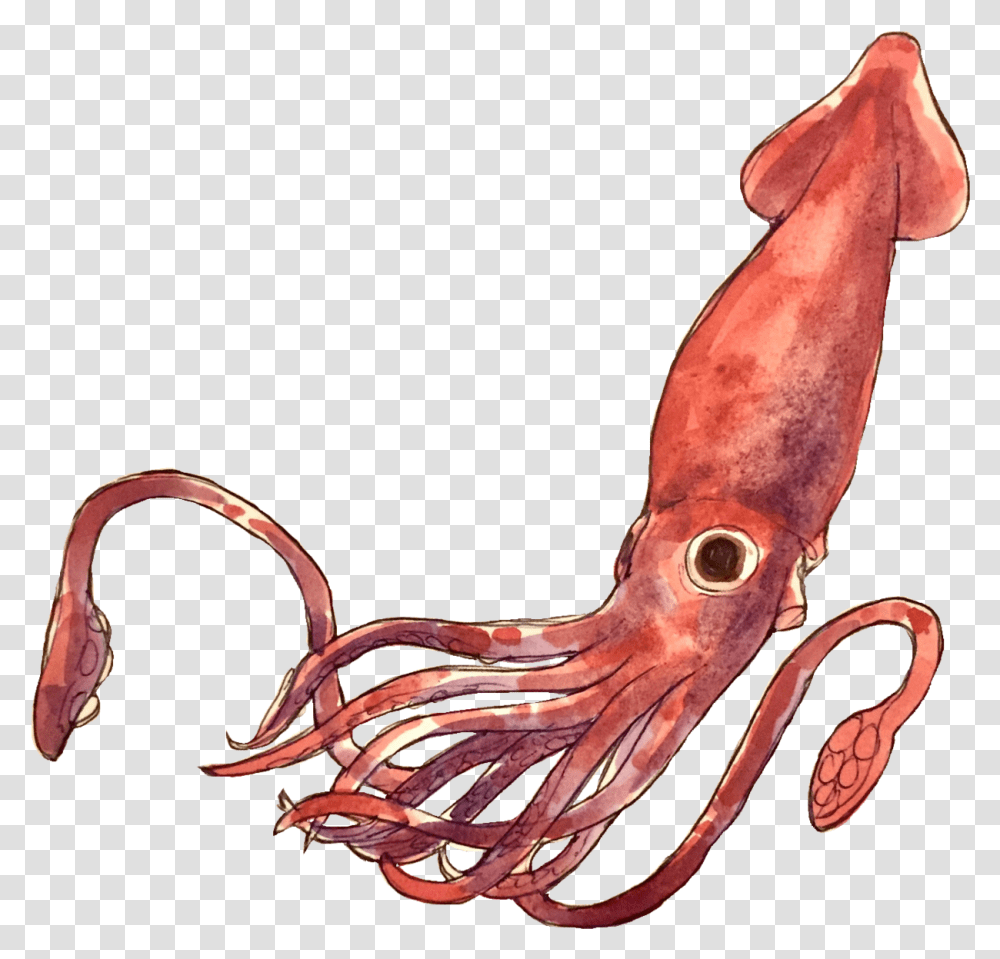 Giant Squid Squid, Seafood, Sea Life, Animal, Smoke Pipe Transparent Png