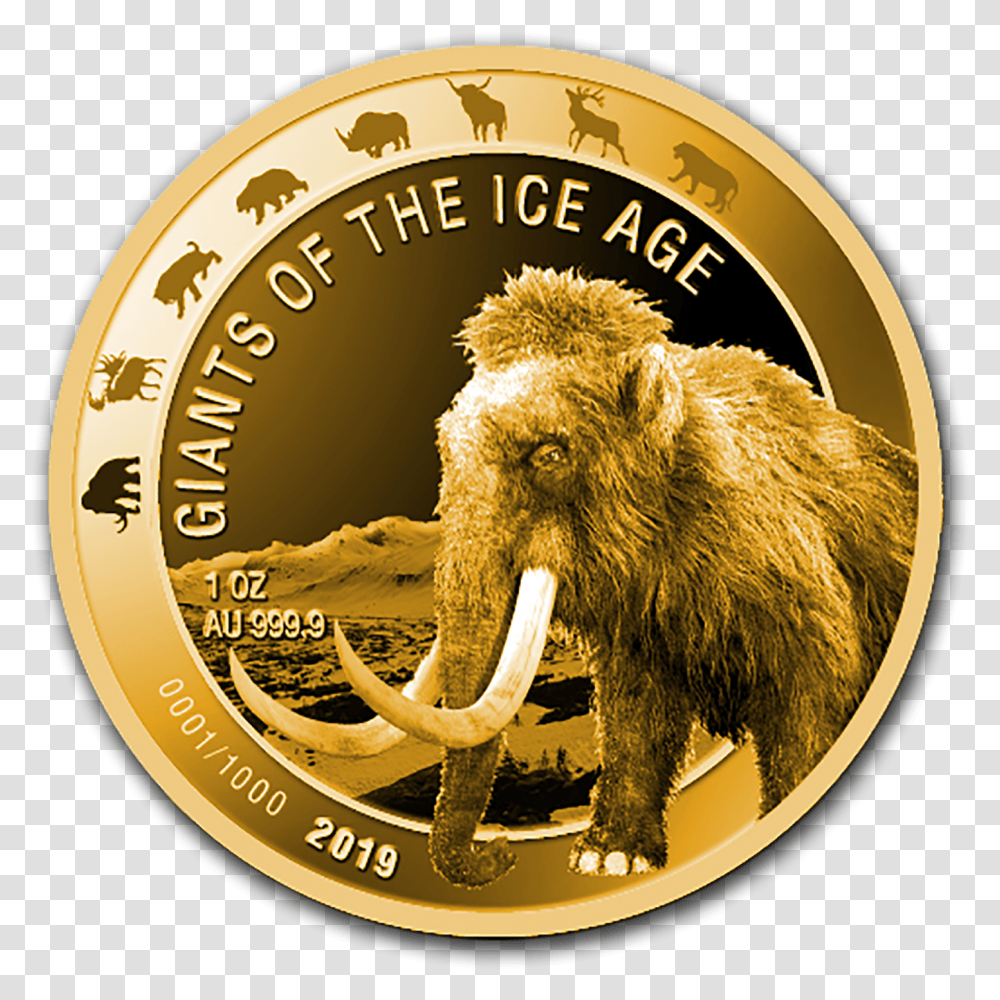 Giants Of The Ice Age Silber, Bear, Wildlife, Mammal, Animal Transparent Png