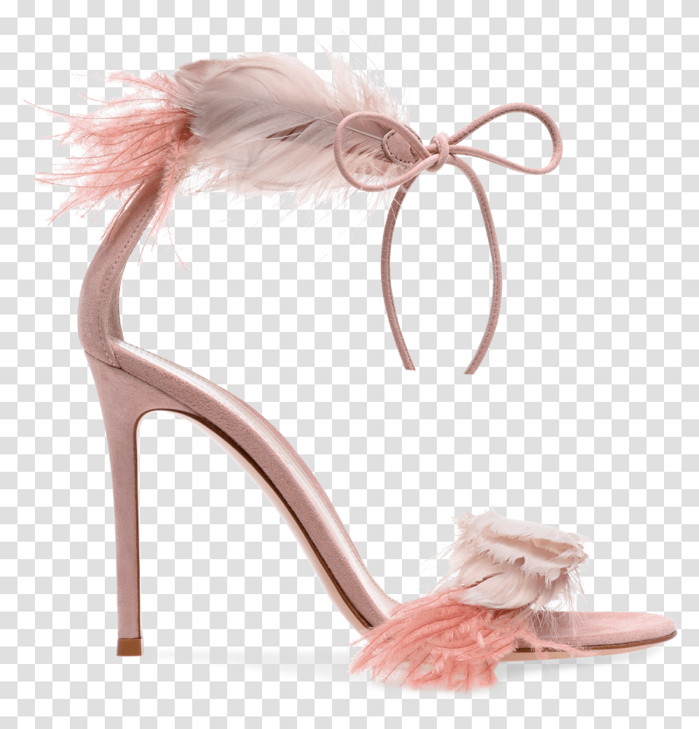 Gianvito Rossi Feather Heels, Apparel, Footwear, Shoe Transparent Png