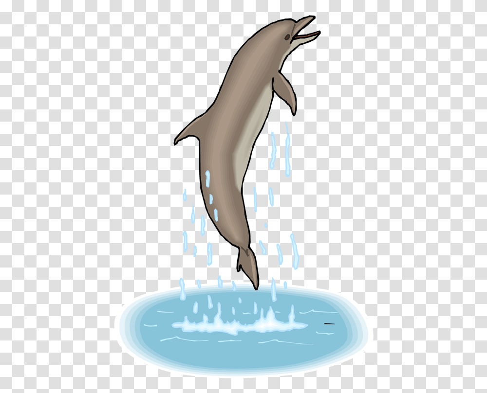 Gif Dolphin Clipart Dolphin Gif Background, Milk, Beverage, Drink, Bird Transparent Png