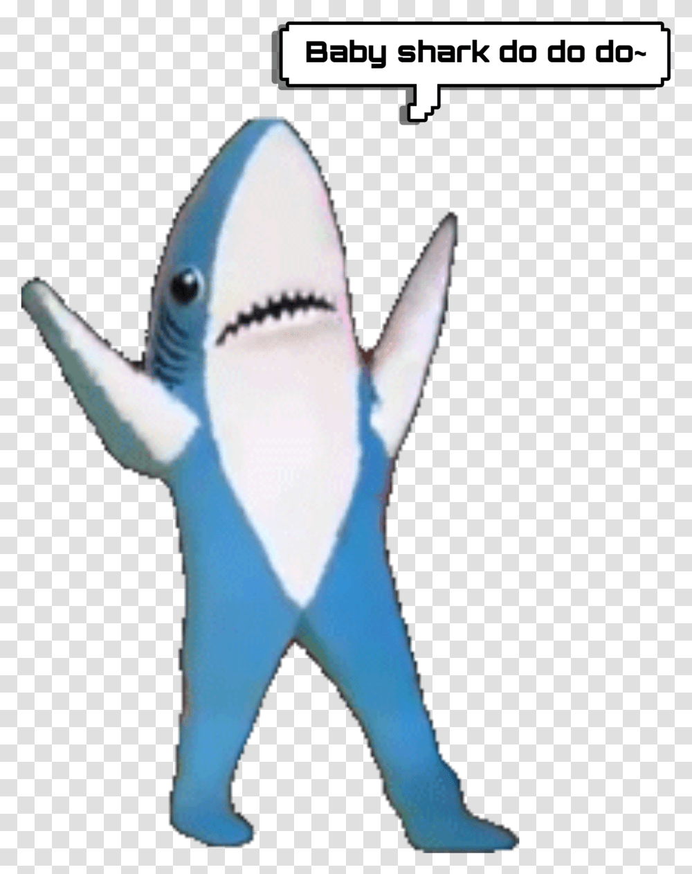 Gif Left Shark, Sea Life, Fish, Animal, Bird Transparent Png