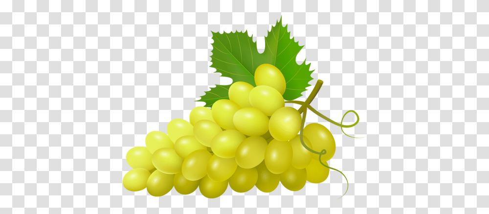 Gif, Plant, Grapes, Fruit, Food Transparent Png