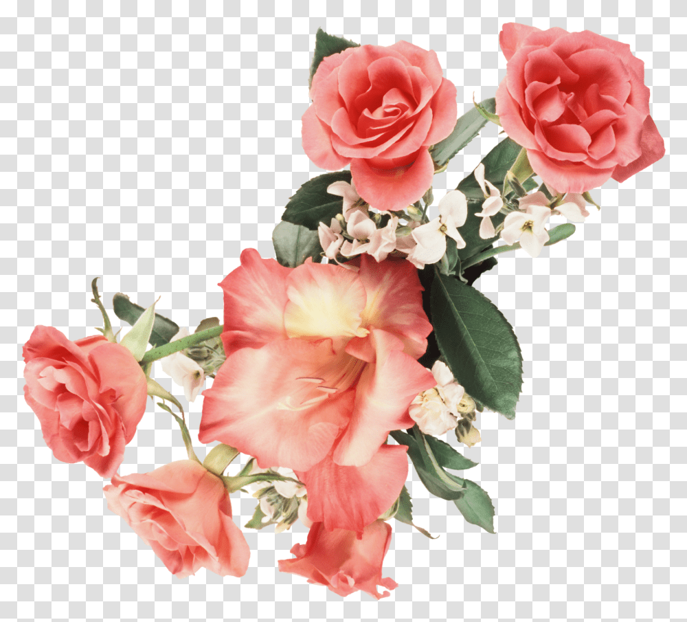 Gifs De Flores, Plant, Flower, Blossom, Rose Transparent Png