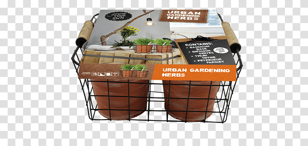 Gift Basket, Plant, Shop, Shopping Basket, Potted Plant Transparent Png