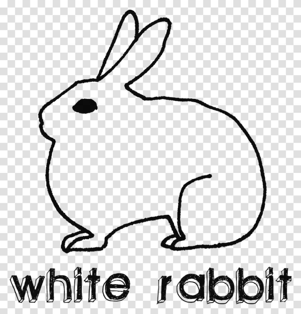 Gift Card Domestic Rabbit, Rodent, Mammal, Animal, Hare Transparent Png