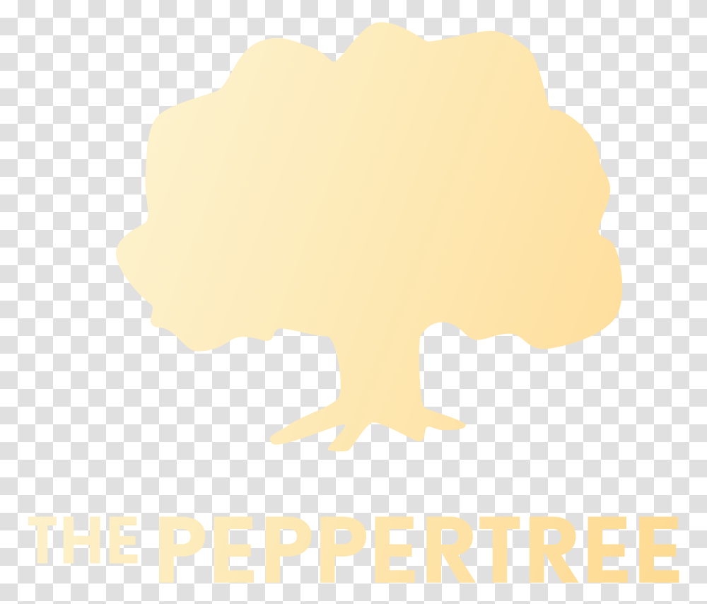 Gift Certificate Pepper Tree 150 Retebrescia, Bird, Animal, Poster, Skin Transparent Png