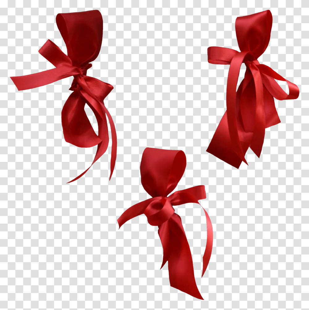 Gift Wrapping, Rose, Flower, Plant, Blossom Transparent Png