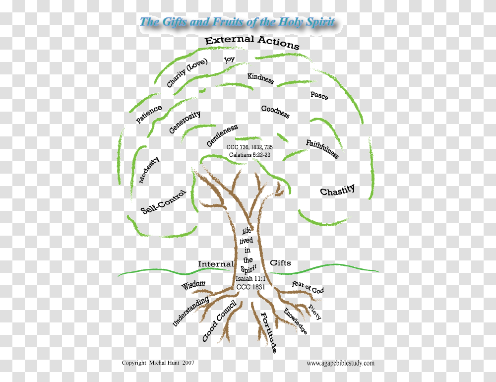 Gifts & Fruits Of The Holy Spirit Tree Of The Gifts Of The Gifts And Fruits Of The Holy Spirit, Root Transparent Png