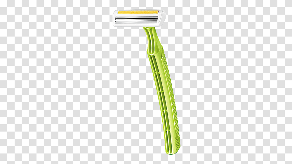 Gillette Razor, Plant, Leaf, Vegetation, Hedge Transparent Png