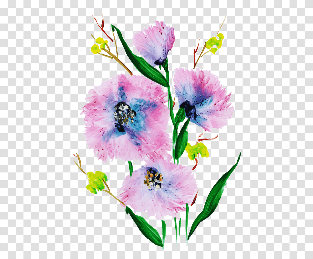 Gilliflower, Plant, Blossom, Honey Bee, Insect Transparent Png