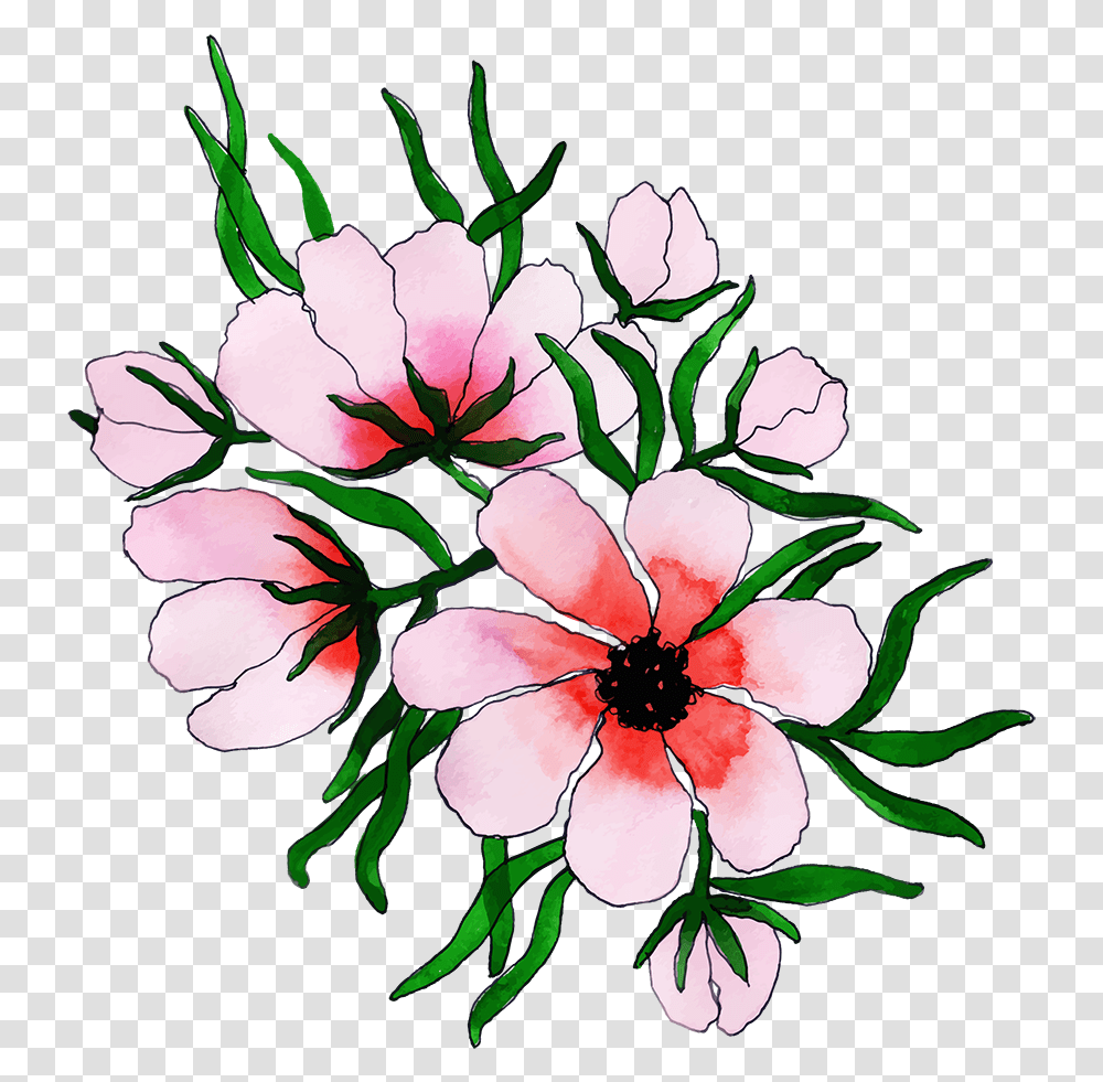 Gilliflower, Plant, Blossom Transparent Png