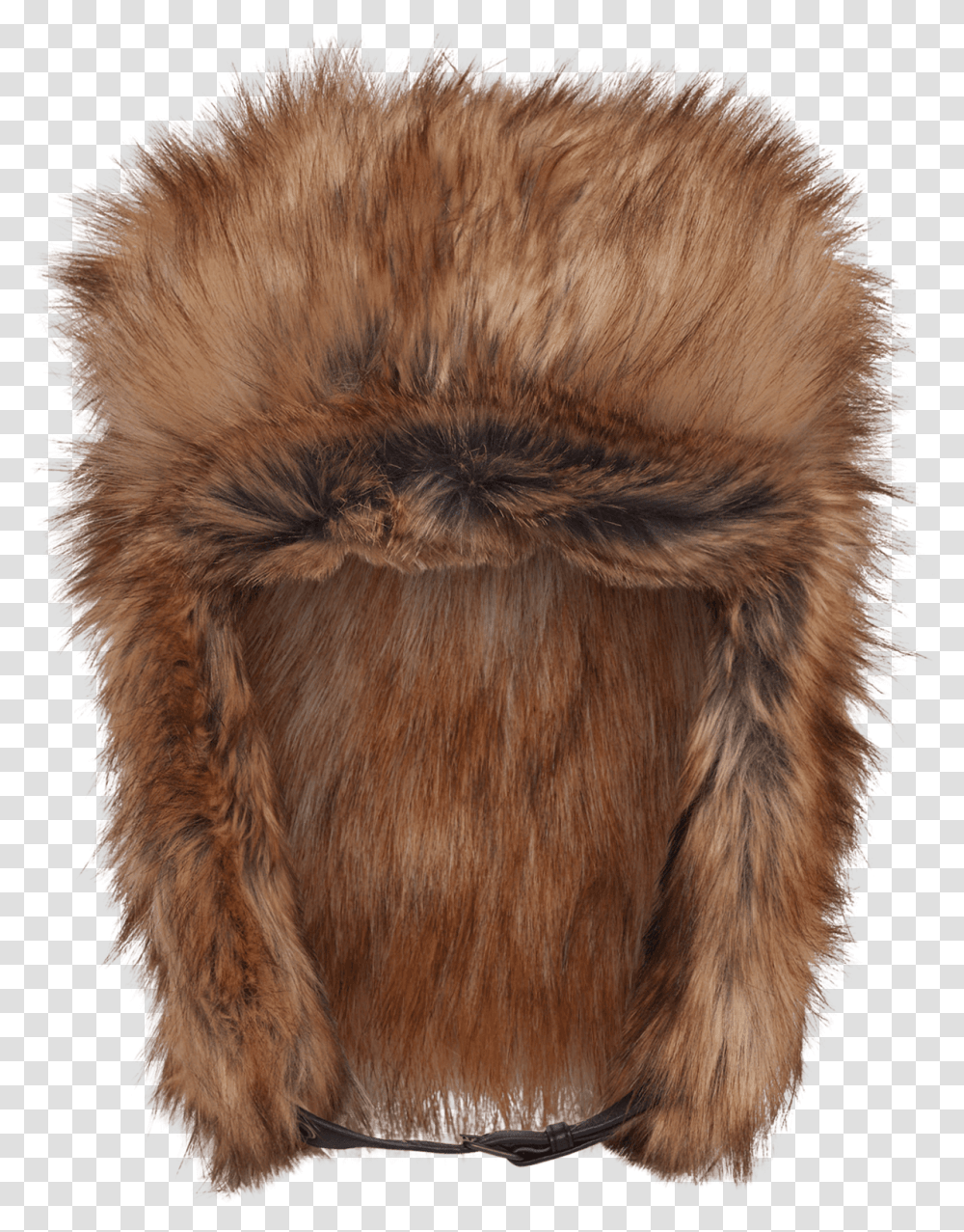 Gilman Fur Hat Fur Collar, Dog, Pet, Canine, Animal Transparent Png