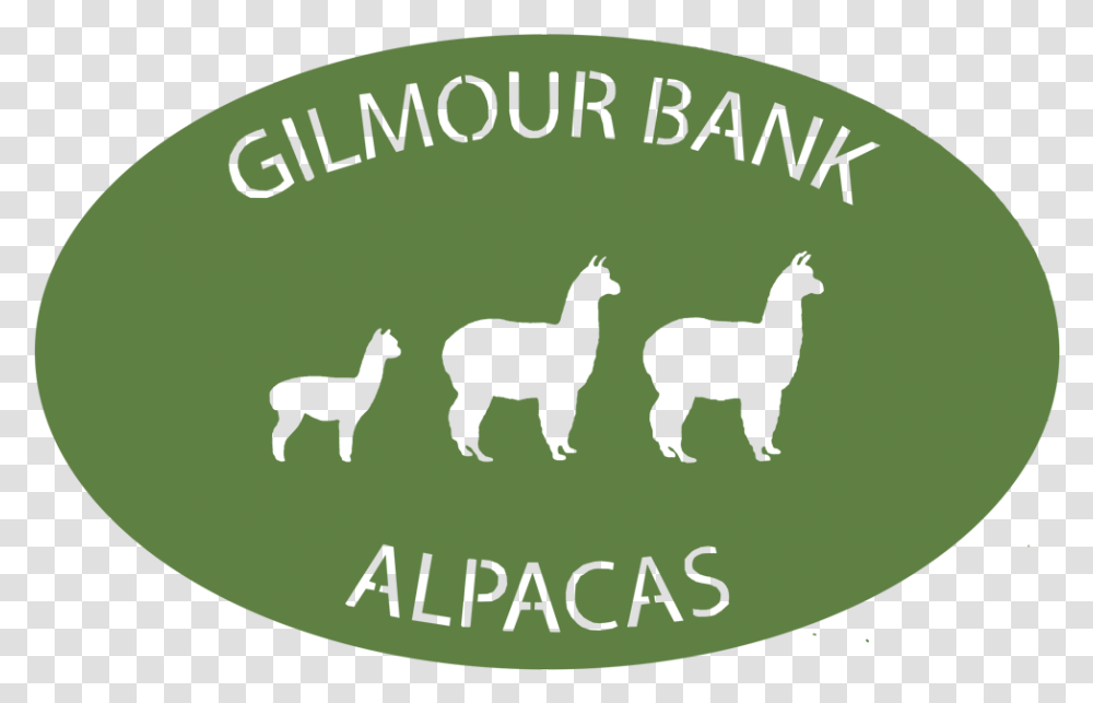 Gilmour Bank Alpaca Llama, Label, Mammal, Animal Transparent Png