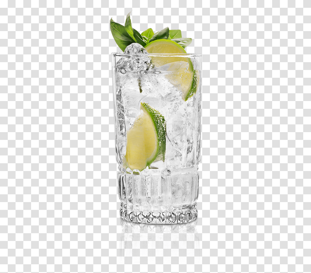 Gin Tonic, Lemonade, Beverage, Cocktail, Alcohol Transparent Png