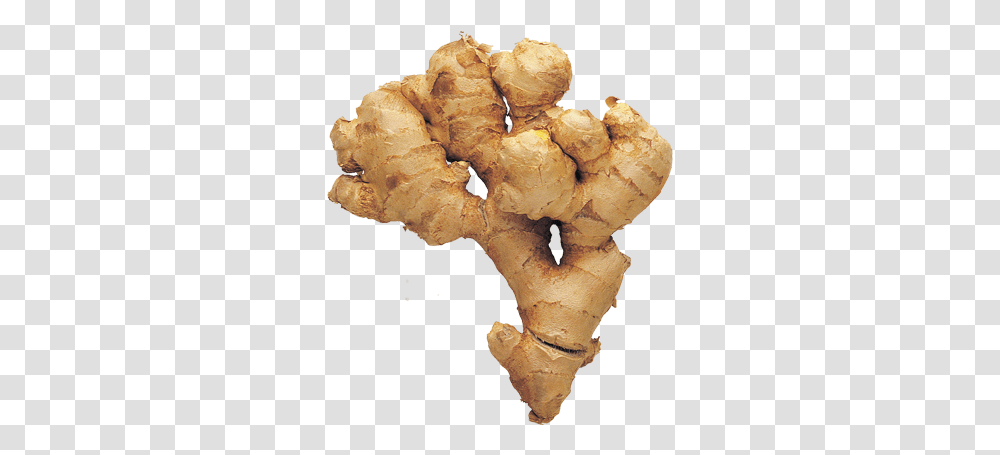 Ginger 100g Greater Galangal, Plant, Fungus Transparent Png