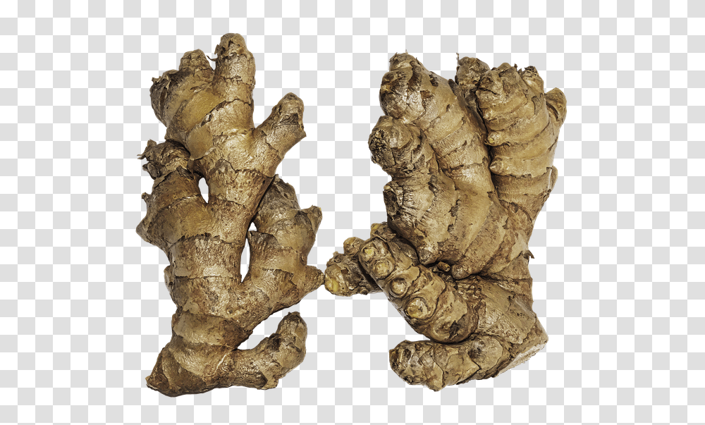 Ginger Food, Plant, Fungus Transparent Png