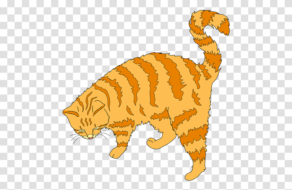 Ginger Cat Clipart, Manx, Pet, Mammal, Animal Transparent Png