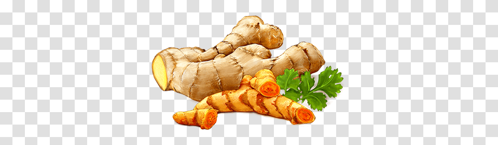Ginger Icon Clipart Turmeric, Plant, Herbal, Herbs, Planter Transparent Png