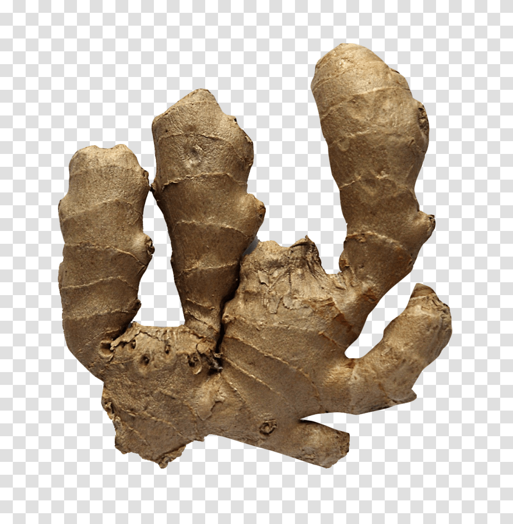 Ginger Image, Vegetable, Plant, Leaf, Root Transparent Png