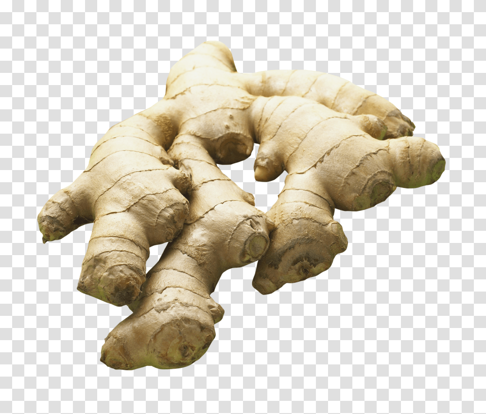 Ginger Image, Vegetable, Plant Transparent Png