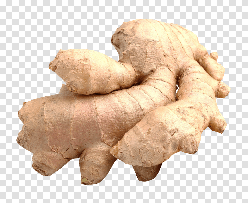 Ginger Image, Vegetable, Plant Transparent Png
