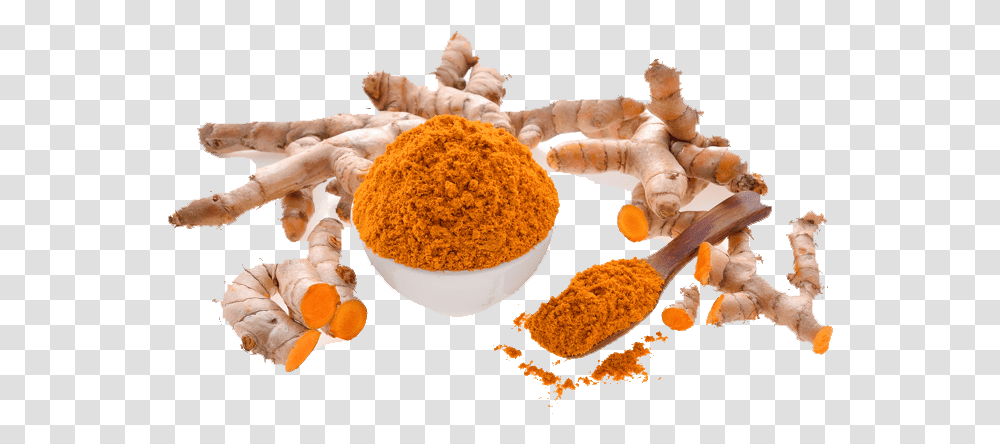Ginger Powder, Spice, Plant, Fungus, Peel Transparent Png