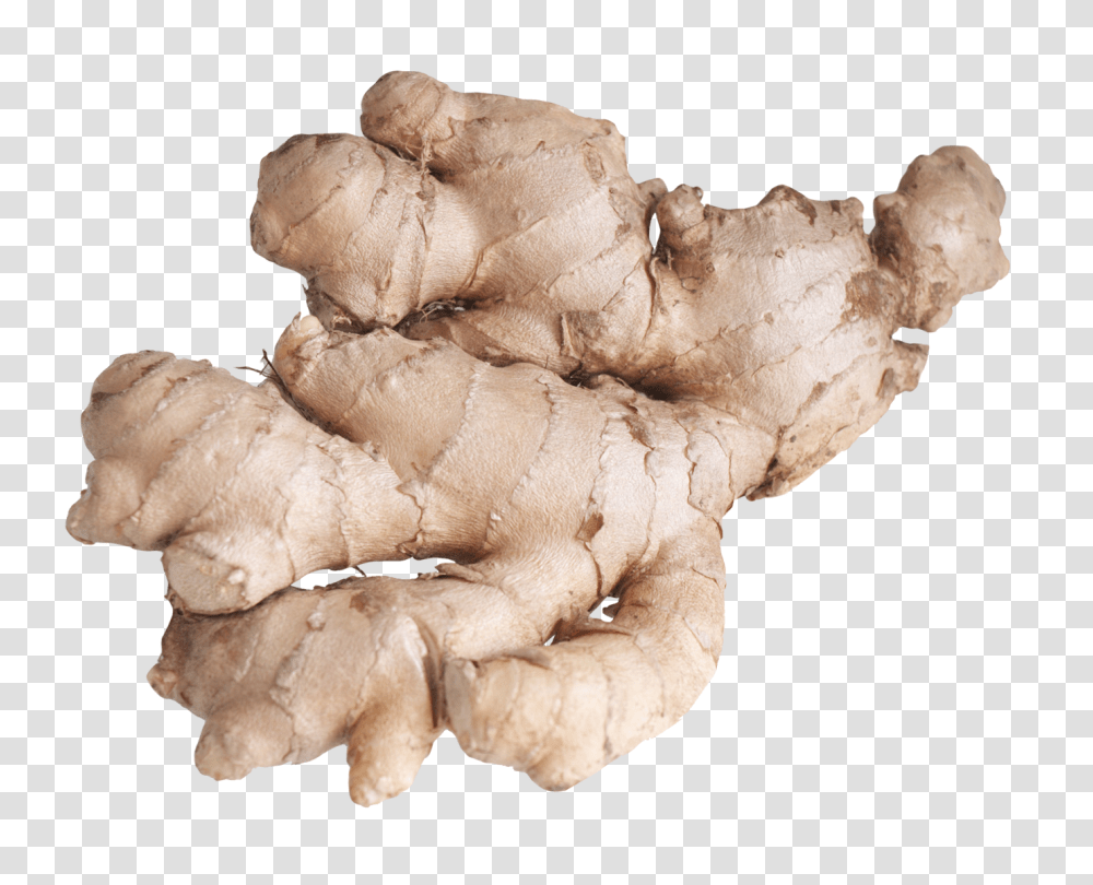 Ginger Root Image, Vegetable, Plant, Teddy Bear, Toy Transparent Png