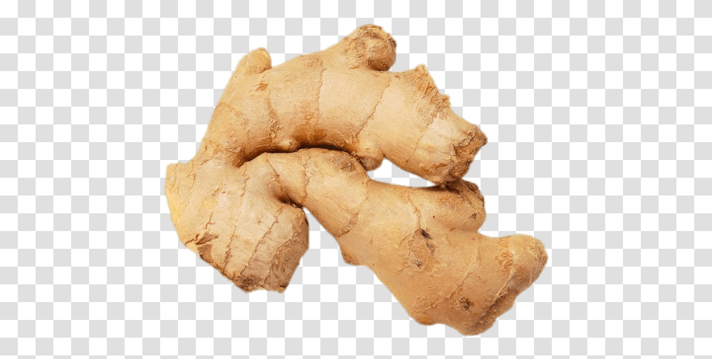 Ginger Root, Plant, Fungus Transparent Png