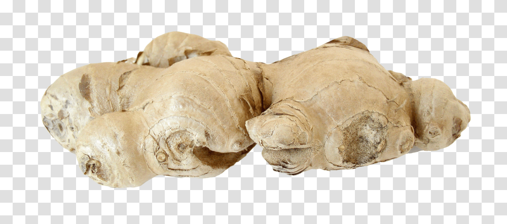 Ginger, Vegetable, Plant, Bread, Food Transparent Png