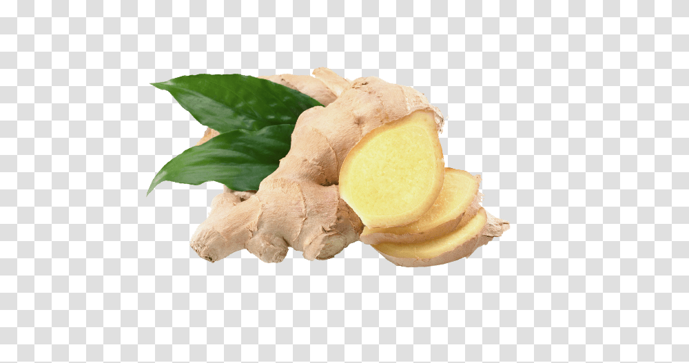 Ginger, Vegetable, Plant, Fungus Transparent Png