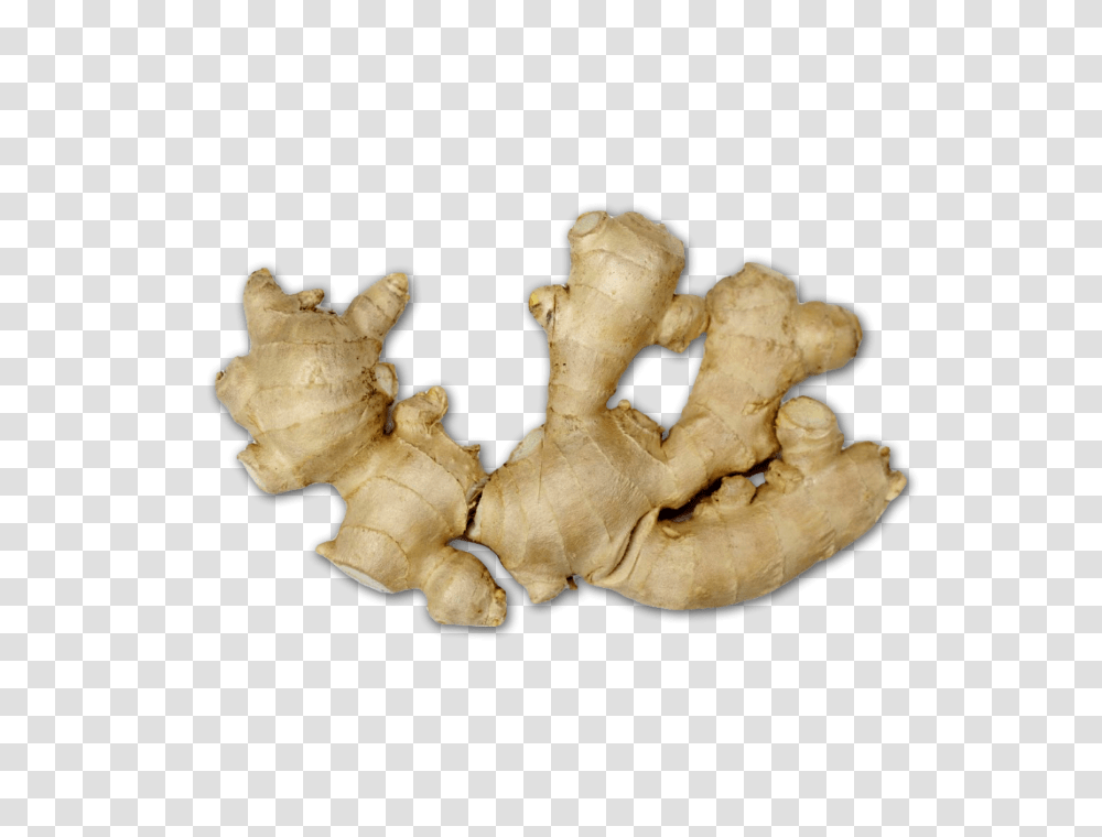 Ginger, Vegetable, Plant, Fungus Transparent Png