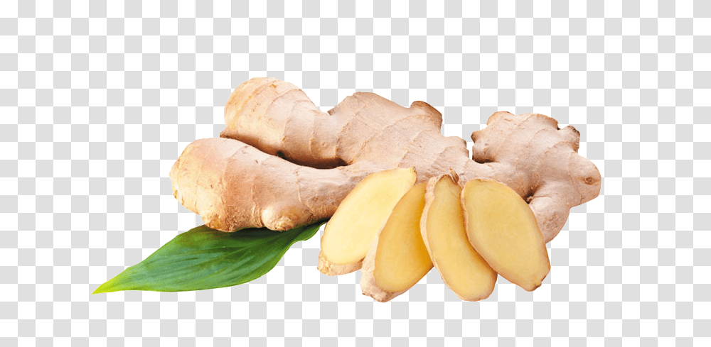 Ginger, Vegetable, Plant, Fungus Transparent Png