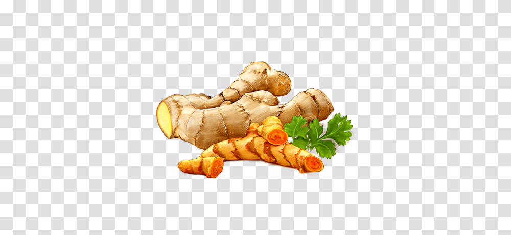 Ginger, Vegetable, Plant, Hot Dog, Food Transparent Png