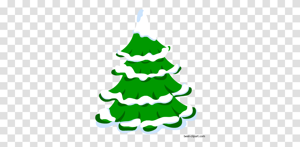 Gingerbread And Christmas Tree All The Christmas Songs, Plant, Ornament, Star Symbol, Pine Transparent Png