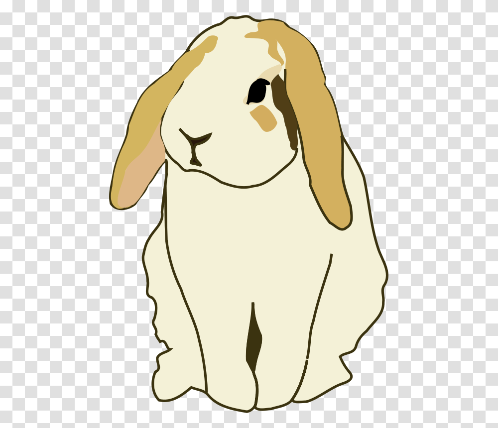 Gingercoons Lop Eared Rabbit, Animals, Mammal, Pet, Rodent Transparent Png