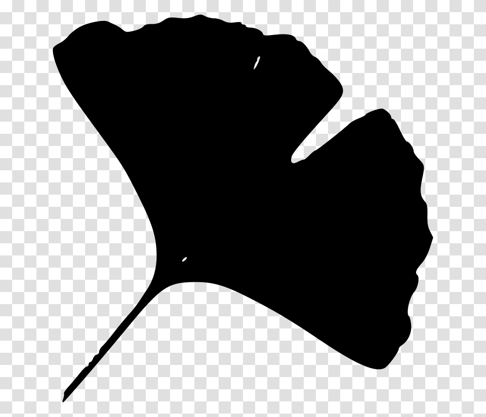 Gingko C, Nature, Gray, World Of Warcraft Transparent Png