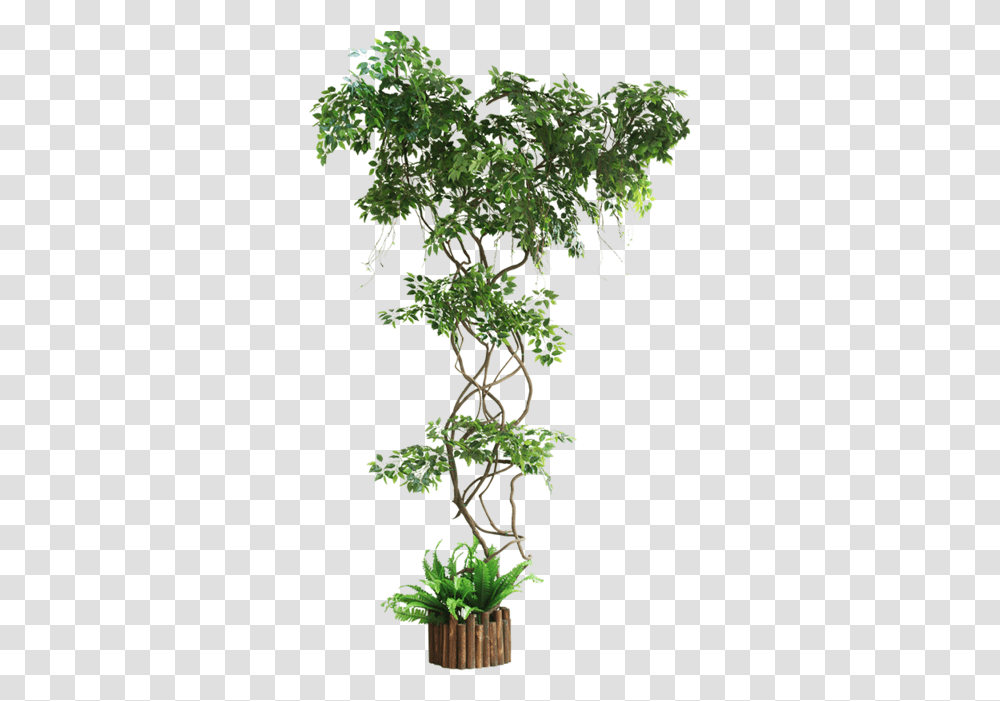 Ginkgo Fake Branch Simulation Leaves Balcony Package Artificial Ivy Plants Uk, Tree, Potted Plant, Vase, Jar Transparent Png