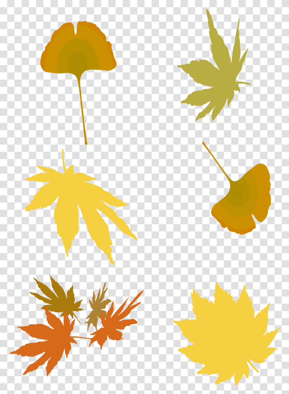 Ginkgo Leaf Clipart, Plant, Maple Leaf, Tree, Weed Transparent Png