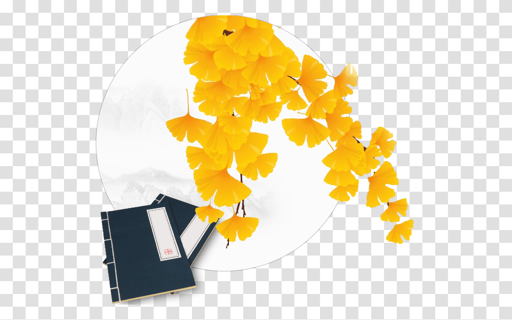 Ginkgo Tree, Leaf, Plant, Flower Transparent Png