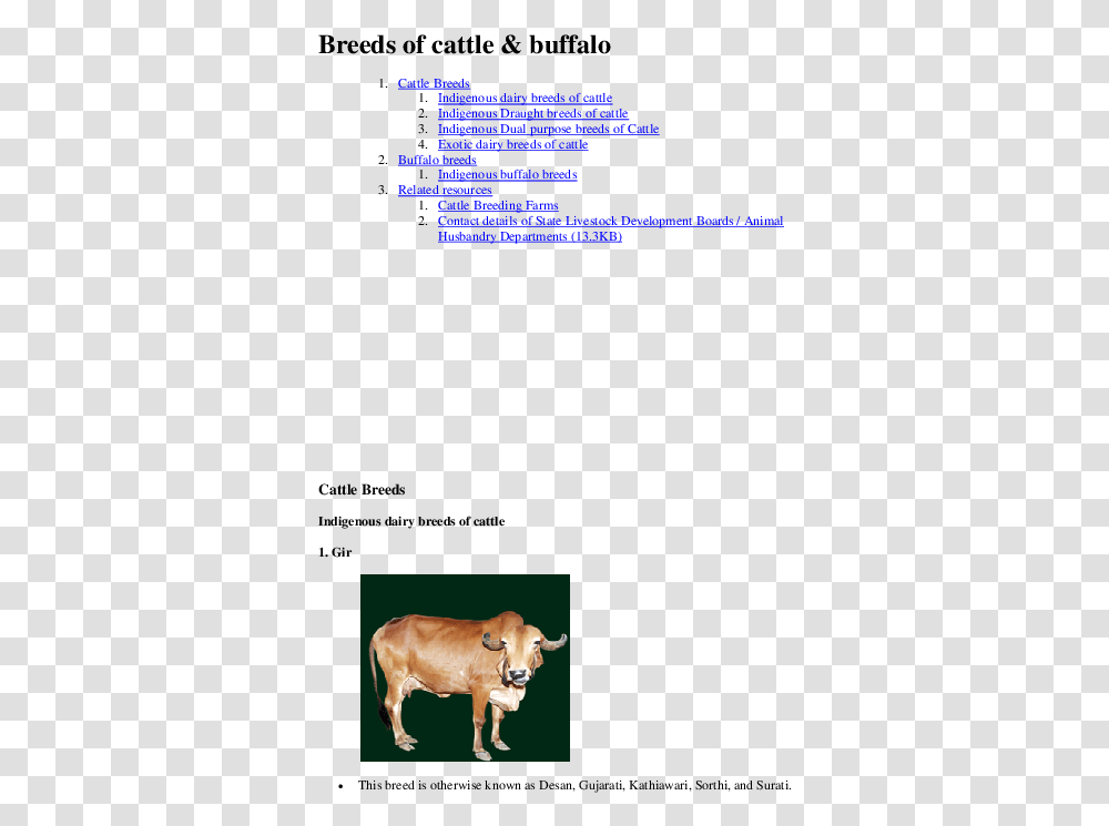 Gir Cow, Cattle, Mammal, Animal Transparent Png