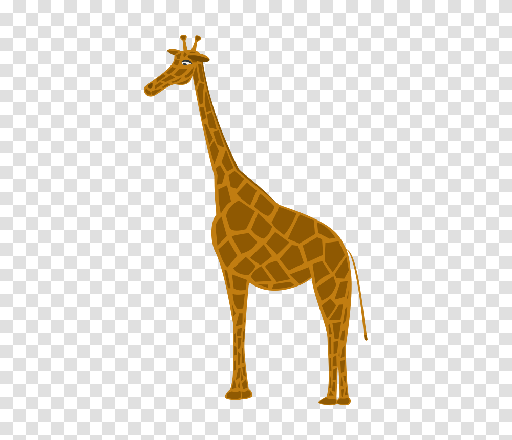 Giraffa, Animals, Giraffe, Wildlife, Mammal Transparent Png