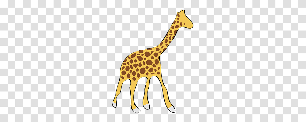 Giraffe Animals, Mammal, Wildlife Transparent Png