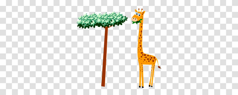 Giraffe Animals, Mammal, Wildlife, Tree Transparent Png