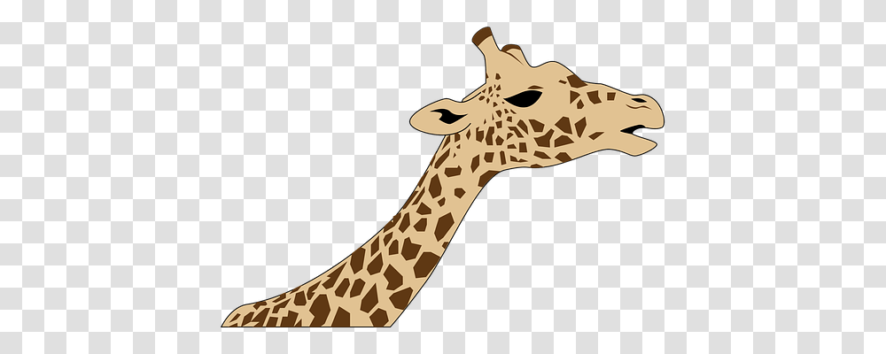 Giraffe Nature, Wildlife, Mammal, Animal Transparent Png