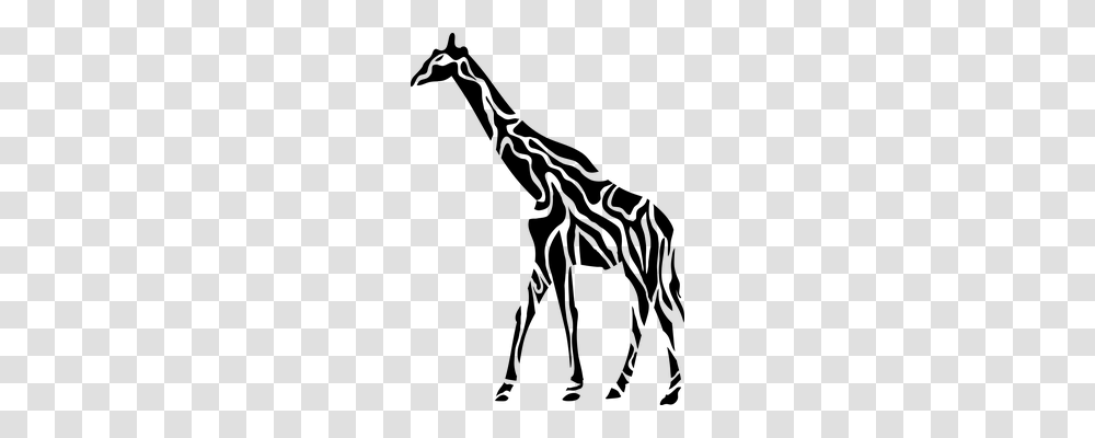 Giraffe Nature, Gray, World Of Warcraft Transparent Png