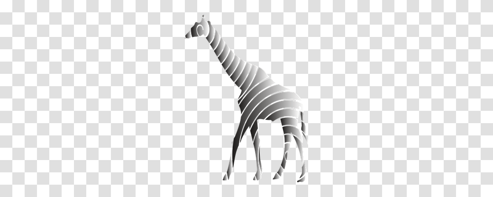 Giraffe Nature, Animal, Mammal, Person Transparent Png